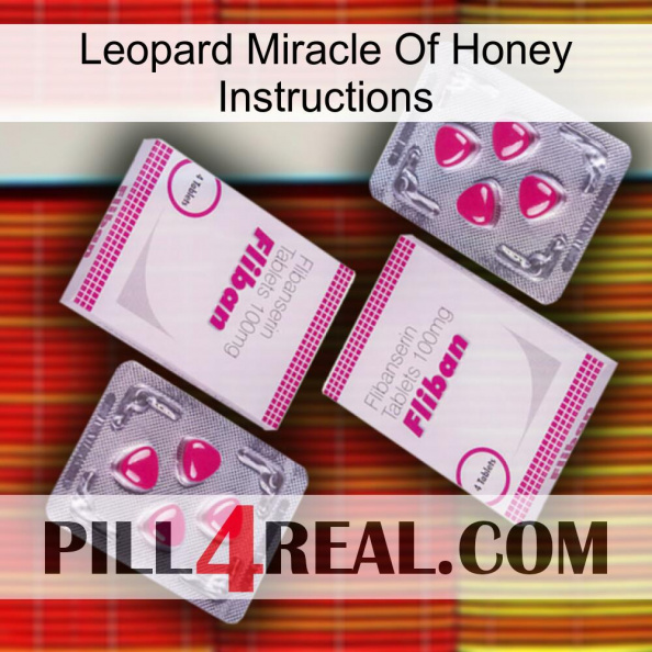 Leopard Miracle Of Honey Instructions 33.jpg